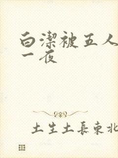 白洁被五人糟蹋一夜