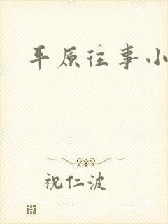 平原往事小说