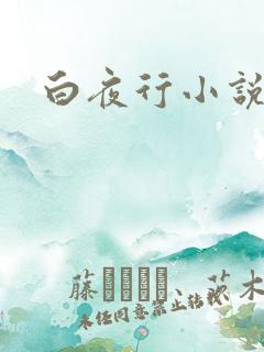 白夜行小说下载