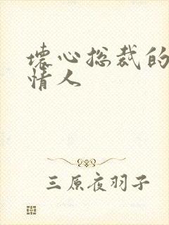 坏心总裁的女佣情人