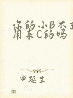 你的小B不就是用来C的吗