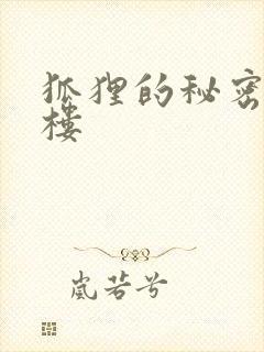 狐狸的秘密19楼