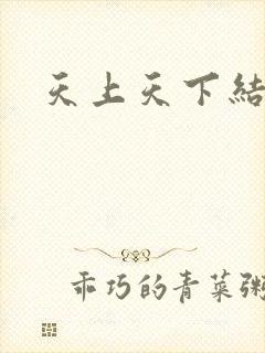 天上天下结局