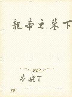 龙帝之墓下载