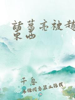 诸葛亮被赵云塞东西