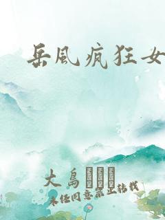 岳风疯狂女婿