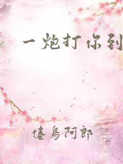 一炮打你到天亮