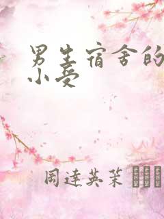 男生宿舍的公共小受