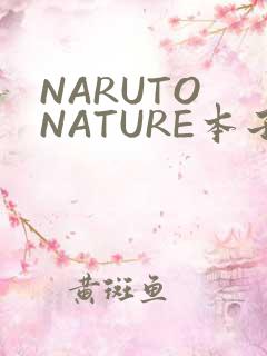 NARUTO NATURE本子