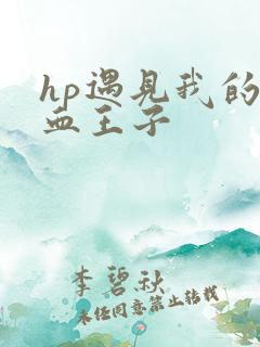 hp遇见我的混血王子