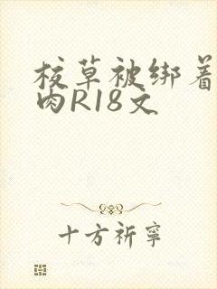 校草被绑着玩纯肉R18文