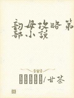 韵母攻略第12部小说