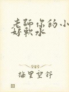 老师你的小兔子好软水