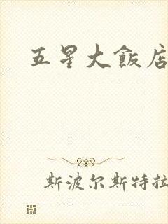 五星大饭店小说