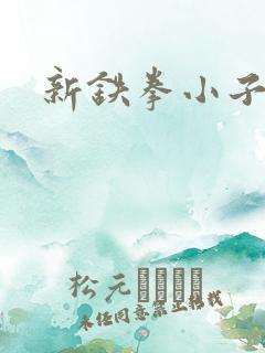新铁拳小子