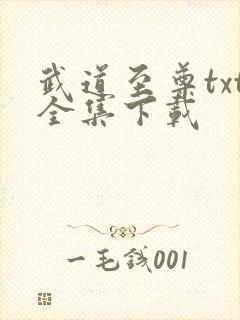 武道至尊txt全集下载