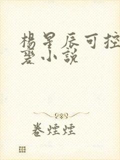 杨星辰可控核聚变小说