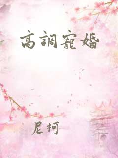 高调宠婚