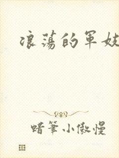 浪荡的军妓h