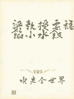 梁教授要稳住肉馅小水饺