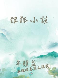 银狐小说