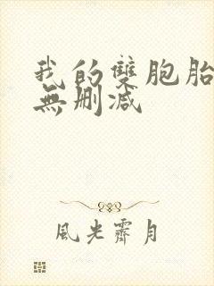 我的双胞胎老婆无删减