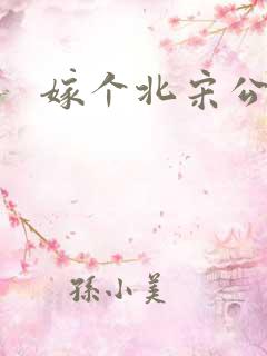 嫁个北宋公务员