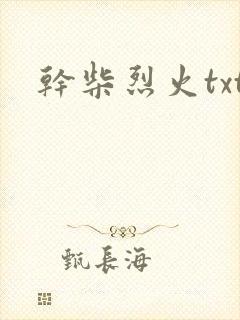 干柴烈火txt