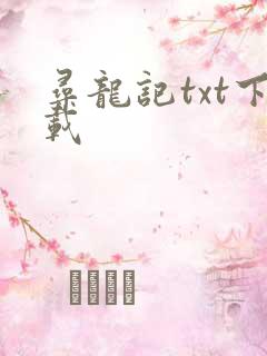 寻龙记txt下载