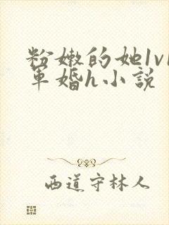 粉嫩的她1v1军婚h小说