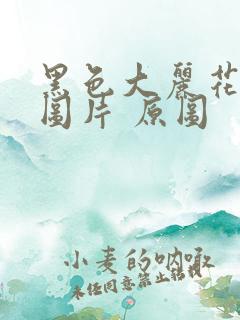 黑色大丽花真实图片 原图