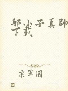 那小子真帅小说下载