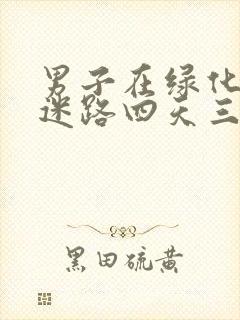 男子在绿化带内迷路四天三夜