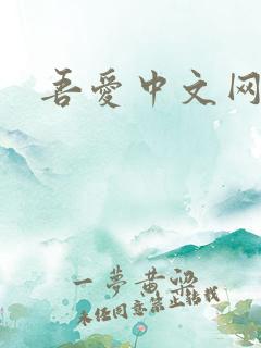 吾爱中文网