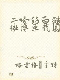 二哈的白猫师尊微博车截图