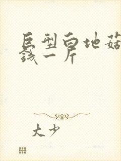 巨型白地菇多少钱一斤