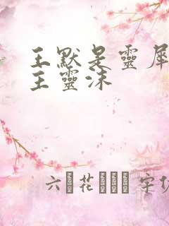 王默是灵犀阁公主灵沫