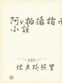阿v拍摄指南说小说