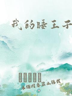 我的睡王子殿下