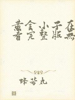 黄金小子在线观看完整版无删减高清