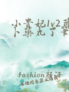 小贵妃1v2萝卜药丸了笔趣阁