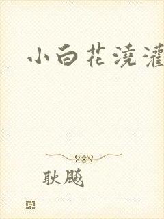 小白花浇灌日常