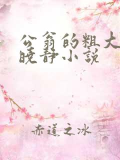 公翁的粗大放进晓静小说