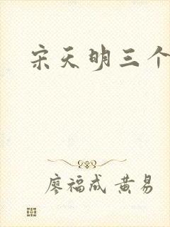 宋天明三个婆娘