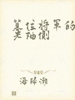 篡位将军的白月光袖侧