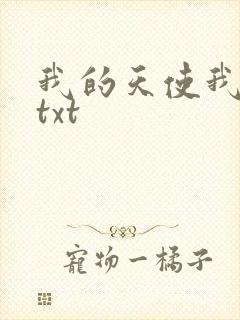 我的天使我的爱txt