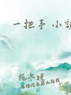 一把手 小说