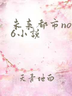 未来都市no.6小说