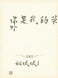 你是我的荣耀番外