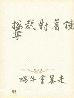 总裁对着镜子掠夺